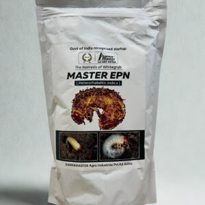 Master Epn