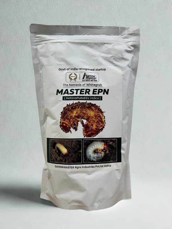 Master Epn